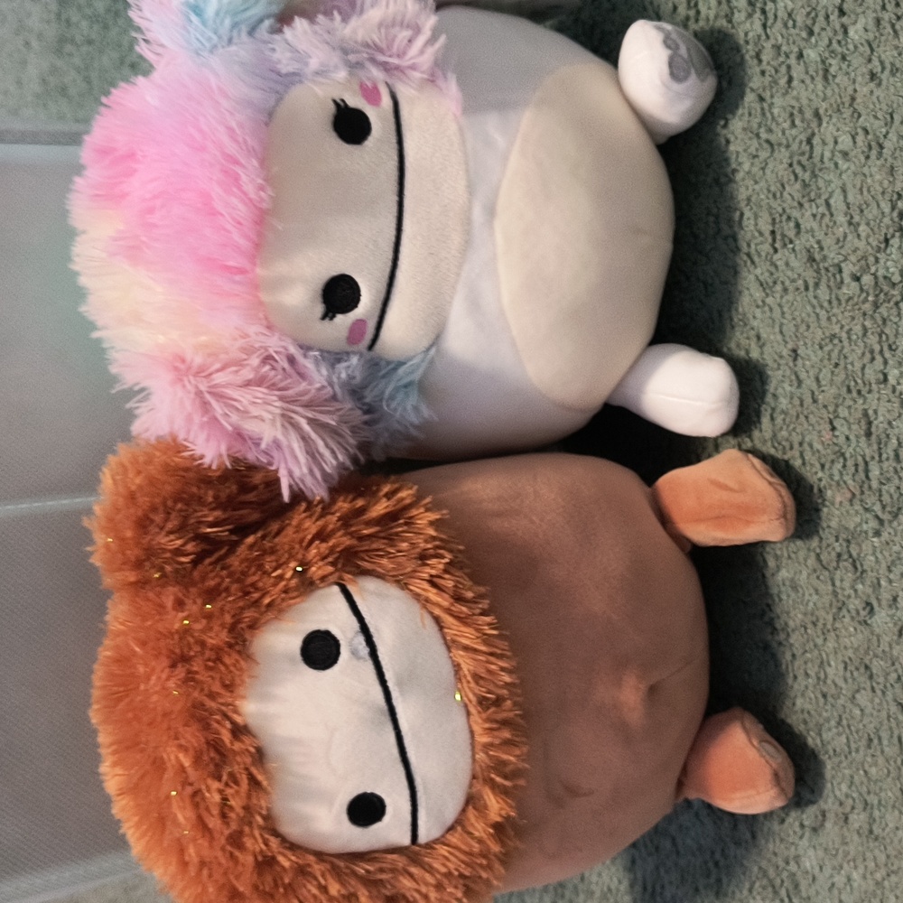 benny and zaylee the bigfeet squishmallows